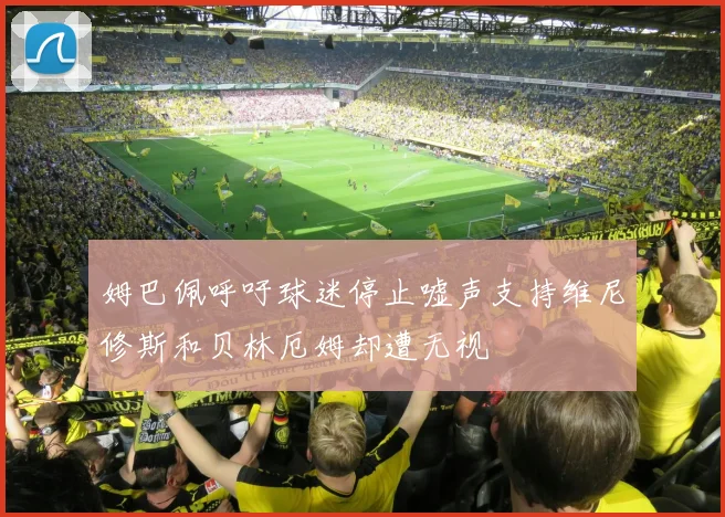 姆巴佩呼吁球迷停止嘘声支持维尼修斯和贝林厄姆却遭无视