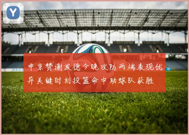 申京赞谢泼德今晚攻防两端表现优异关键时刻投篮命中助球队获胜
