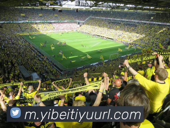 App Interface Preview