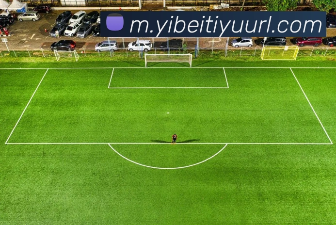 易倍体育APP 封面图